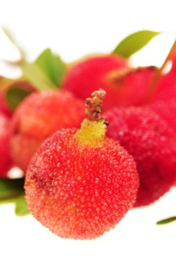 kocayemiş beyaz zemin üzerine