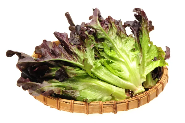 Färsk sallad på vit bakgrund — Stockfoto