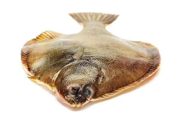 양식 물고기 — 스톡 사진