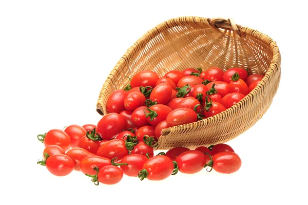 Tomate cereza pequeño sobre fondo blanco —  Fotos de Stock