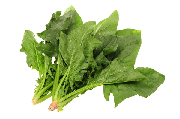 Spinach — Stock Photo, Image