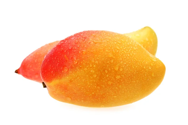 Due mango — Foto Stock