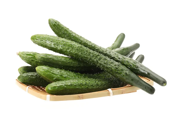 Fresh cucumbers on white background — Stock Photo, Image