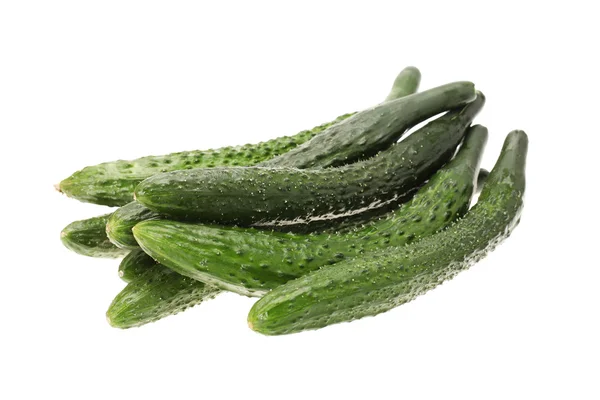 Fresh cucumbers on white background — Stock Photo, Image