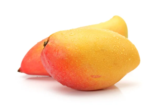Twee mango — Stockfoto