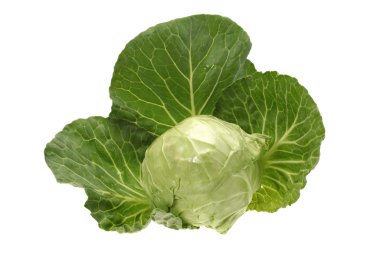 Beyaz arkaplanda yeşil lahana