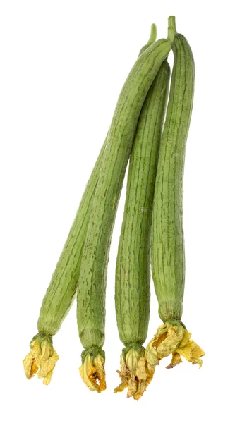 Zucchini på vit bakgrund — Stockfoto