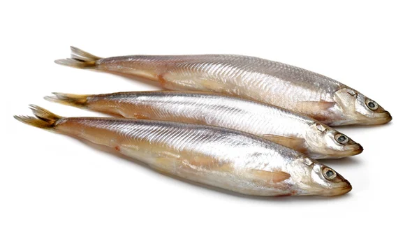 Aliments pour poissons isolés sur fond blanc — Photo