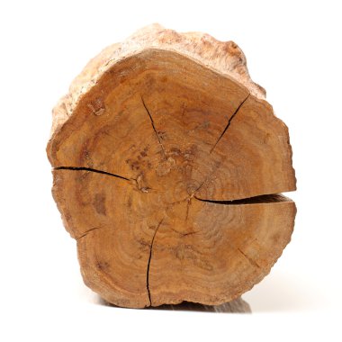 Beyaz bir arka plan üzerinde izole günlük