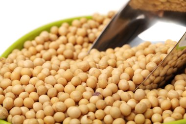 Beyaz arka plan üzerinde izole altın soya