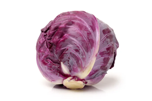 Esh red cabbage — Stock Photo, Image