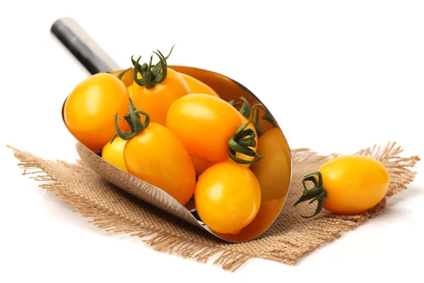 Świeże pomidory żółte na białym tle — Zdjęcie stockowe