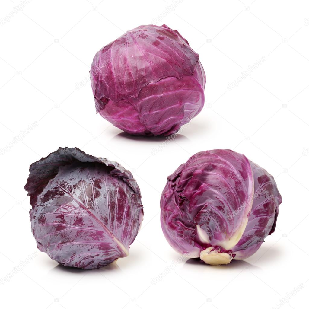 Esh red cabbage