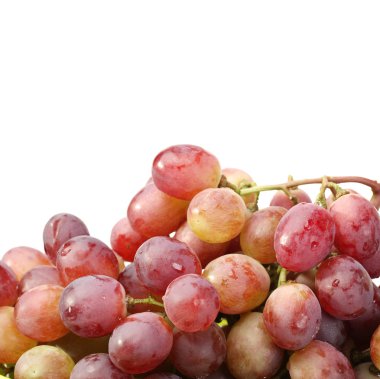 beyaz arkaplanda kırmızı üzüm