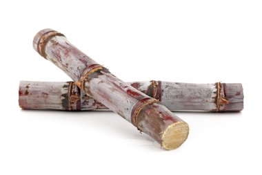 Beyaz arkaplanda izole şeker kamışı