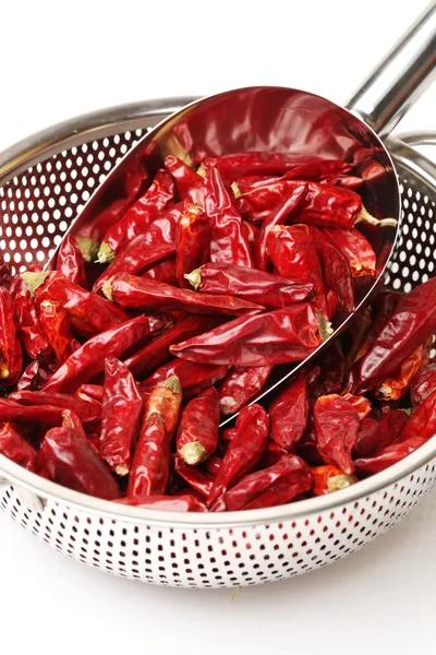 Isolamento peperoncino rosso caldo su bianco — Foto Stock
