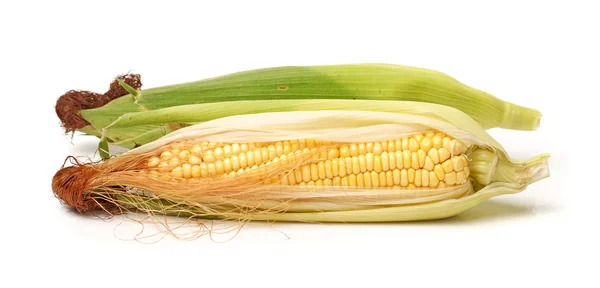 Fresh corn on the cob — Stock Photo, Image