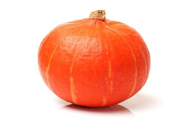 beyaz arkaplanda kabak