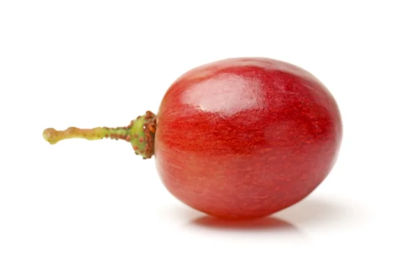 Uva rossa su fondo bianco — Foto Stock