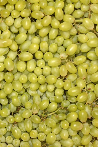 Uvas verdes em caixa rosa — Fotografia de Stock