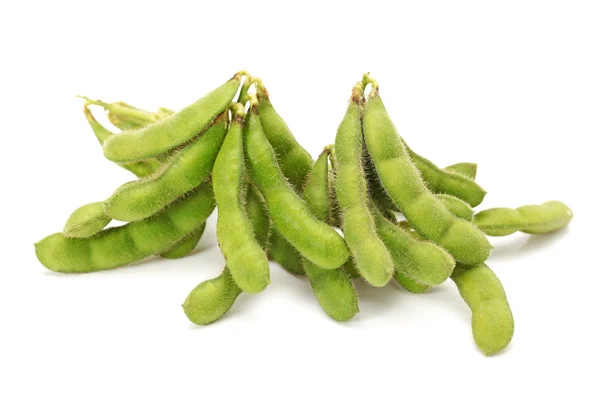 Fresh harvested soybean — Stockfoto