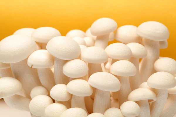 Shimeji mushrooms white varieties — Stock Photo, Image