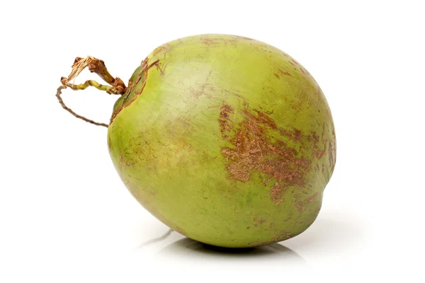 Fruta de coco sobre fundo branco — Fotografia de Stock
