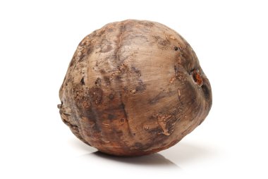 beyaz zemin üzerine Hindistan cevizi meyve