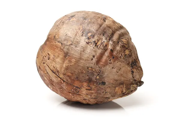 Kokosowego owoce na białym tle — Zdjęcie stockowe