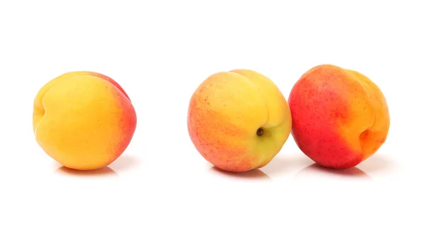 Mogen aprikos på vit bakgrund — Stockfoto