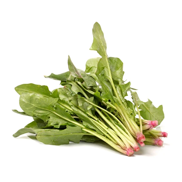 Spinach on white background — Stock Photo, Image