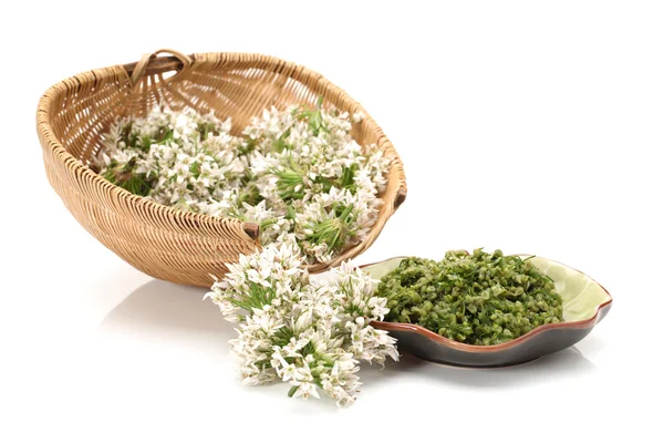 Fiore di erba cipollina cinese su sfondo bianco — Foto Stock