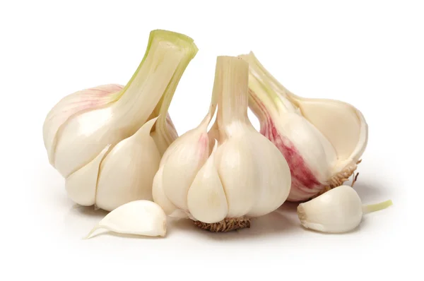 New garlic on white background — Stock Photo, Image