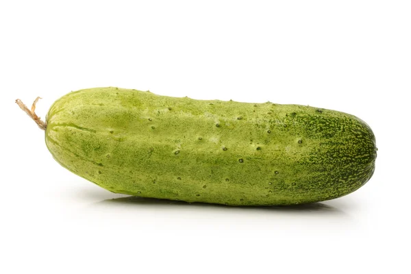 Cucumber — Stock Photo, Image