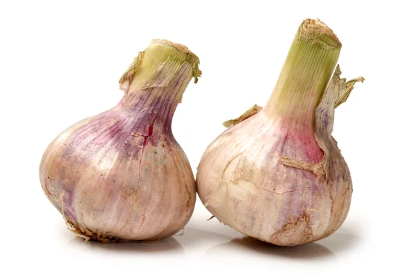 Garlic — Stock Photo, Image