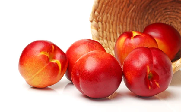 Nectarine on a white background — Stock Photo, Image