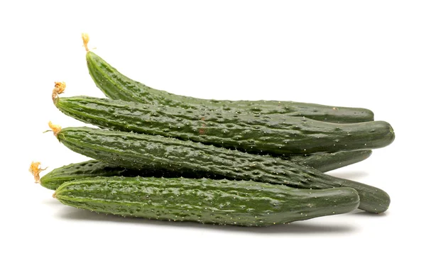 Pepino — Foto de Stock