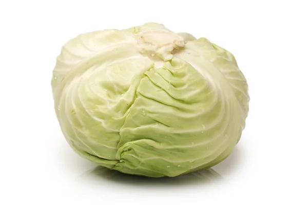 Green cabbage Royalty Free Stock Images