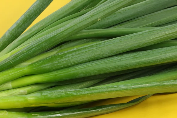 Cebola verde — Fotografia de Stock