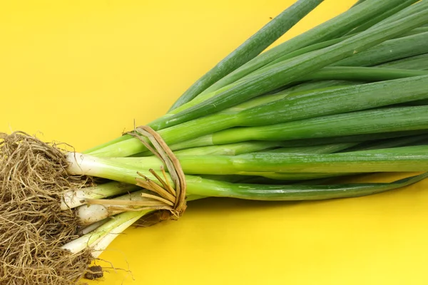 Cebola verde — Fotografia de Stock