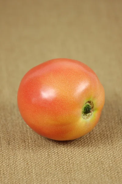 Red Tomato — Stock Photo, Image