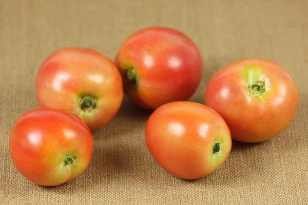 Tomate Vermelho — Fotografia de Stock