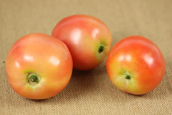 Red Tomato — Stock Photo, Image