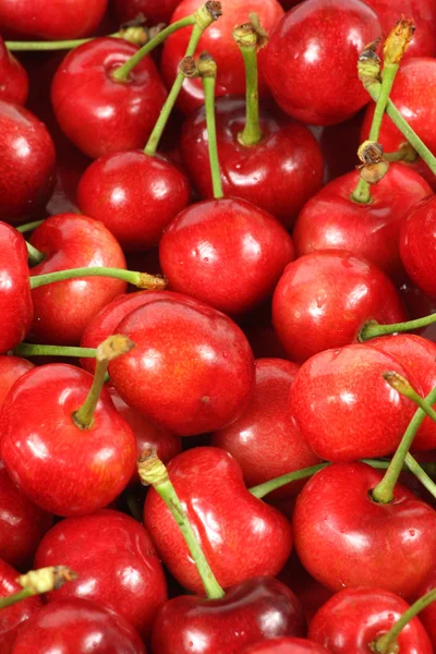 Cherry bessen op witte achtergrond — Stockfoto