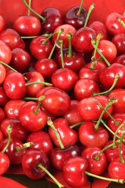 Bayas de cereza sobre fondo blanco — Foto de Stock