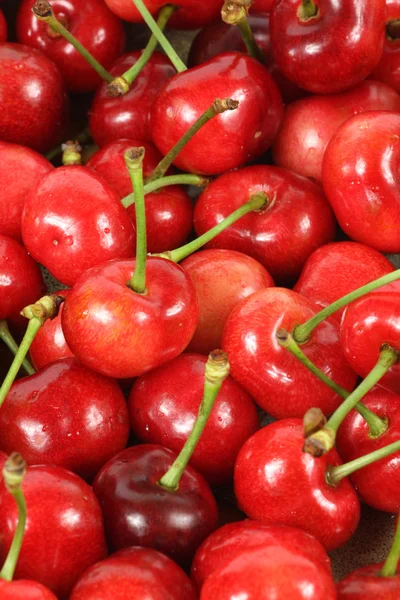 Bayas de cereza sobre fondo blanco — Foto de Stock