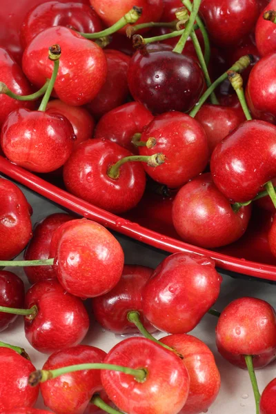 Kirschbeeren auf weißem Hintergrund — Stockfoto