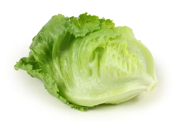 Frischer Salat auf weißem Hintergrund — Stockfoto