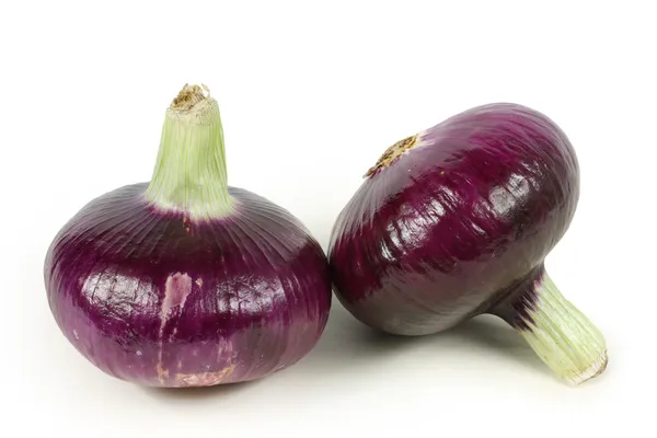 Cebolla roja aislada sobre fondo blanco — Foto de Stock