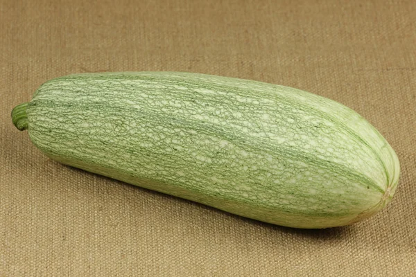 Zucchine fresche — Foto Stock